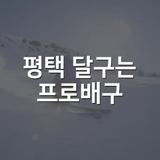 평택 달구는 프로배구