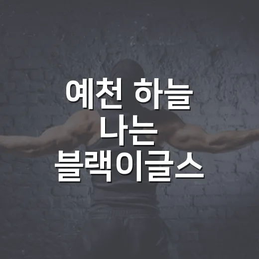 예천 하늘 나는 블랙이글스