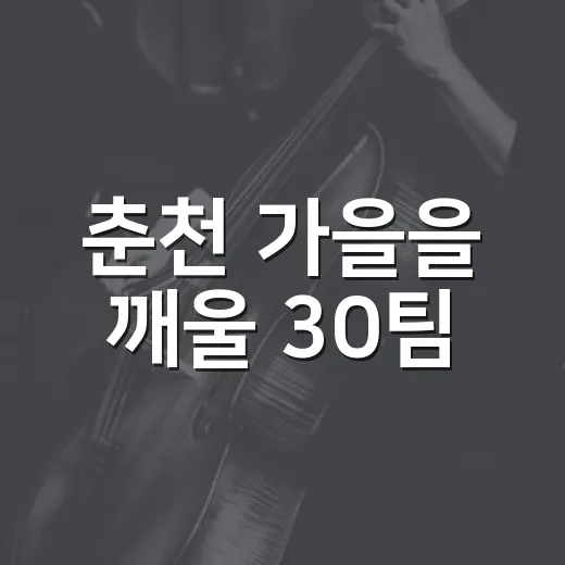 춘천 가을을 깨울 30팀
