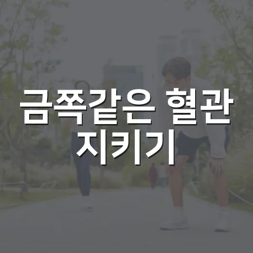 금쪽같은 혈관 지키기