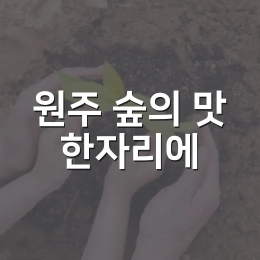 원주 숲의 맛 한자리에