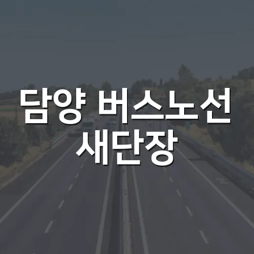 담양 버스노선 새단장