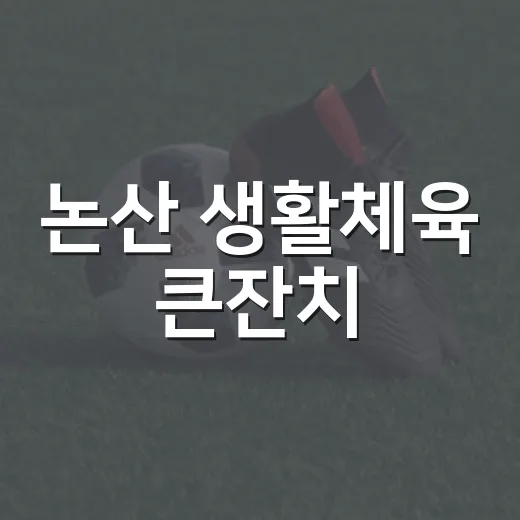 논산 생활체육 큰잔치