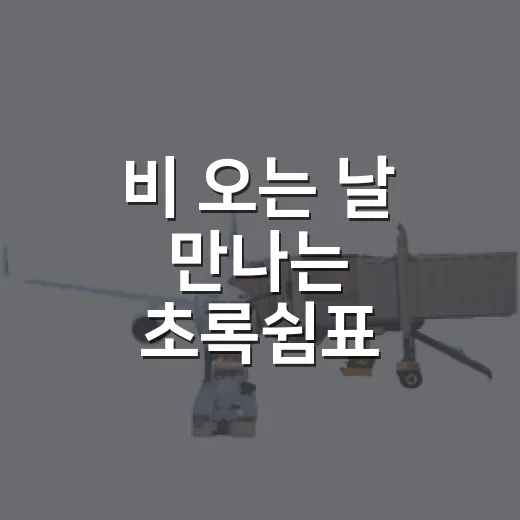 비 오는 날 만나는 초록쉼표