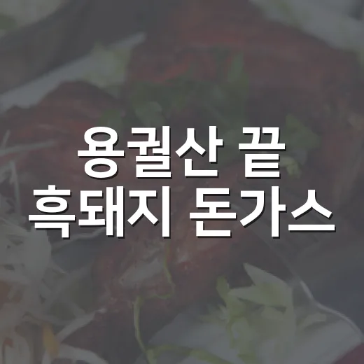 용궐산 끝 흑돼지 돈가스