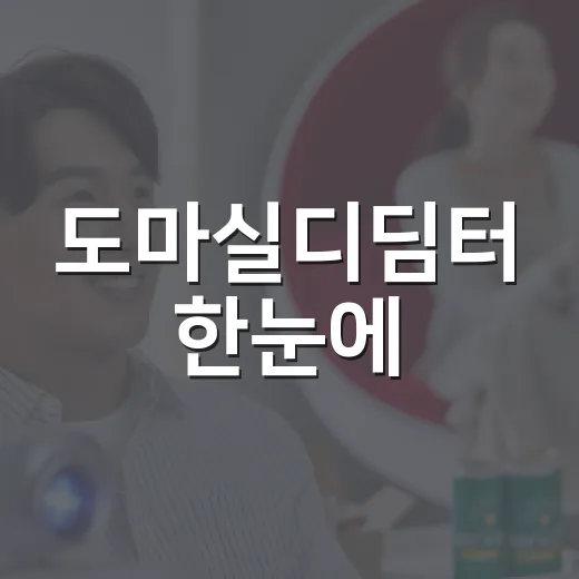 도마실디딤터 한눈에