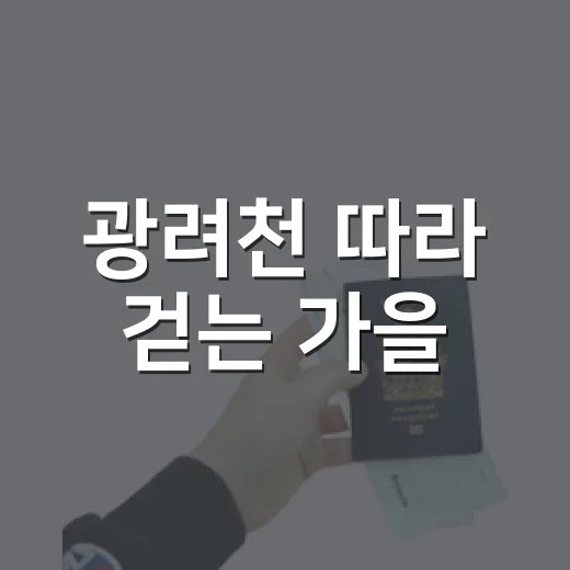 광려천 따라 걷는 가을