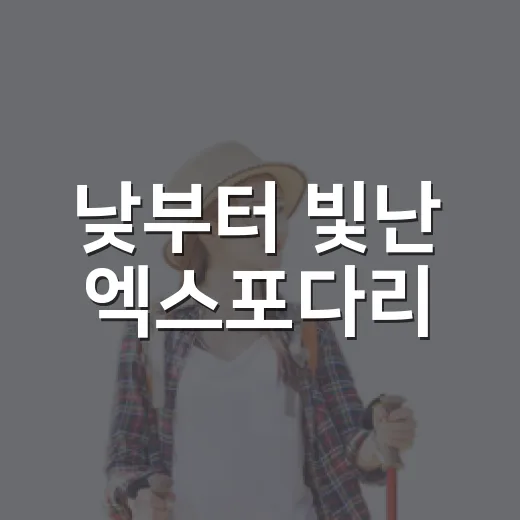 낮부터 빛난 엑스포다리