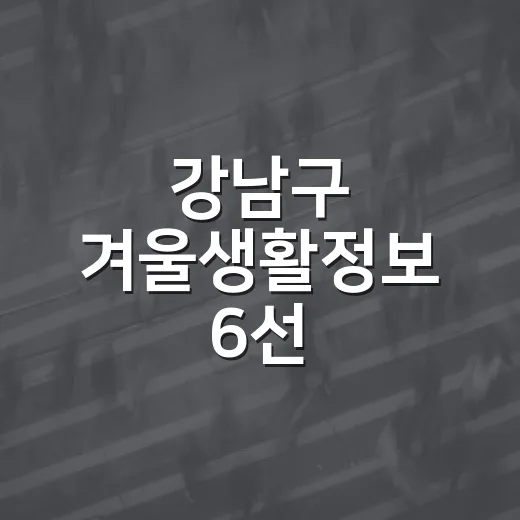 강남구 겨울생활정보 6선
