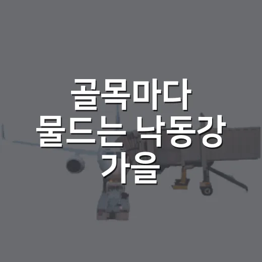 골목마다 물드는 낙동강 가을