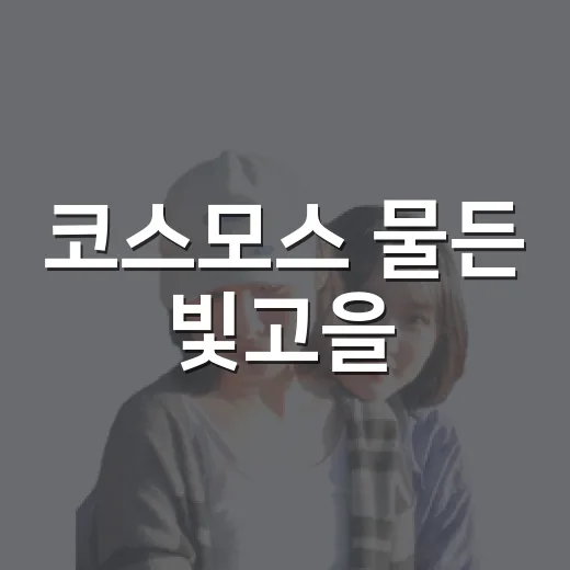 코스모스 물든 빛고을