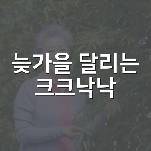 늦가을 달리는 크크낙낙