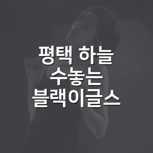평택 하늘 수놓는 블랙이글스