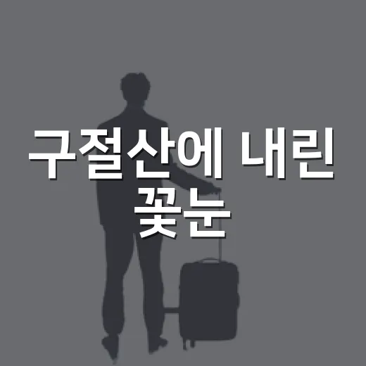 구절산에 내린 꽃눈