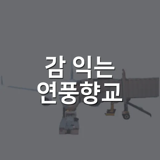 감 익는 연풍향교