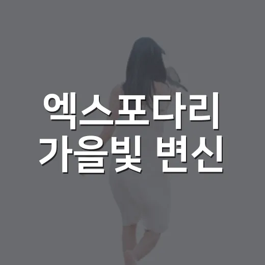 엑스포다리 가을빛 변신
