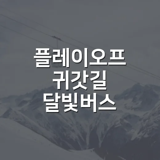 플레이오프 귀갓길 달빛버스