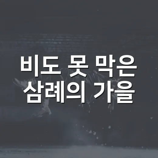 비도 못 막은 삼례의 가을