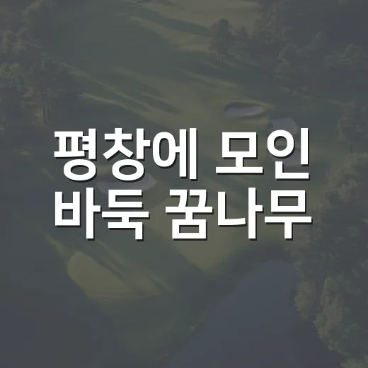 평창에 모인 바둑 꿈나무