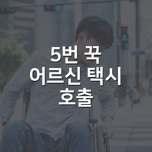 5번 꾹 어르신 택시 호출
