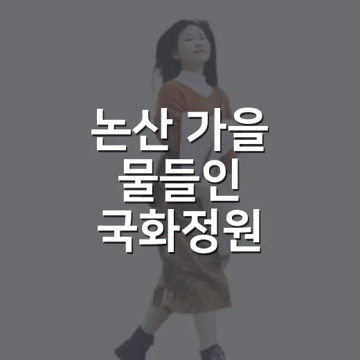 논산 가을 물들인 국화정원