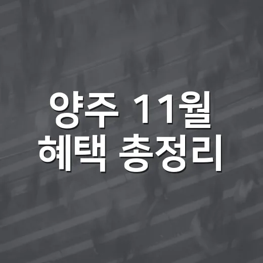 양주 11월 혜택 총정리