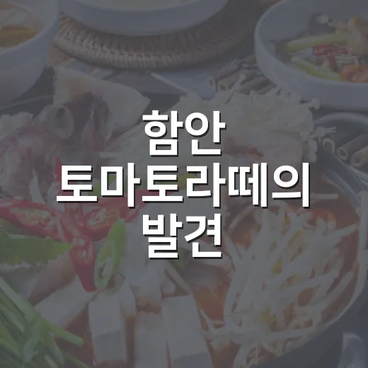 함안 토마토라떼의 발견