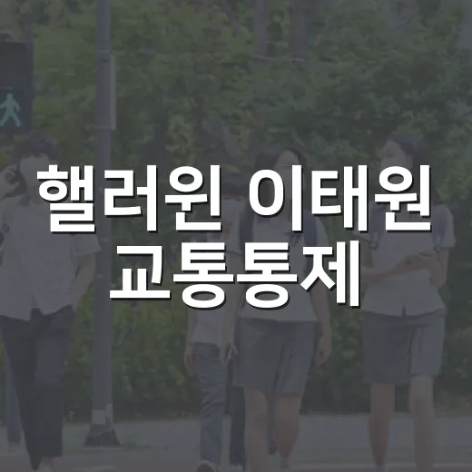 핼러윈 이태원 교통통제