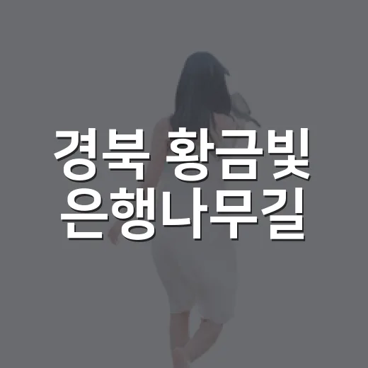 경북 황금빛 은행나무길