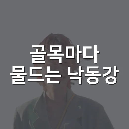 골목마다 물드는 낙동강