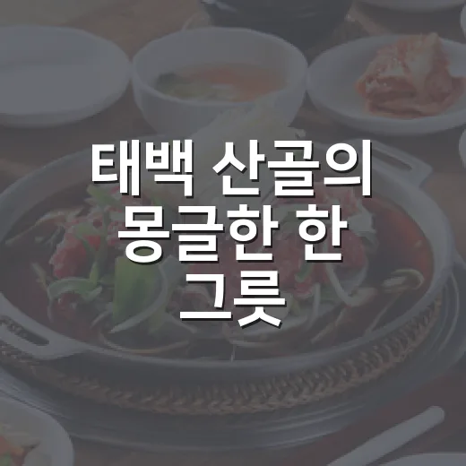 태백 산골의 몽글한 한 그릇