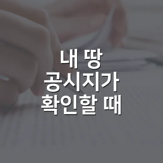 내 땅 공시지가 확인할 때