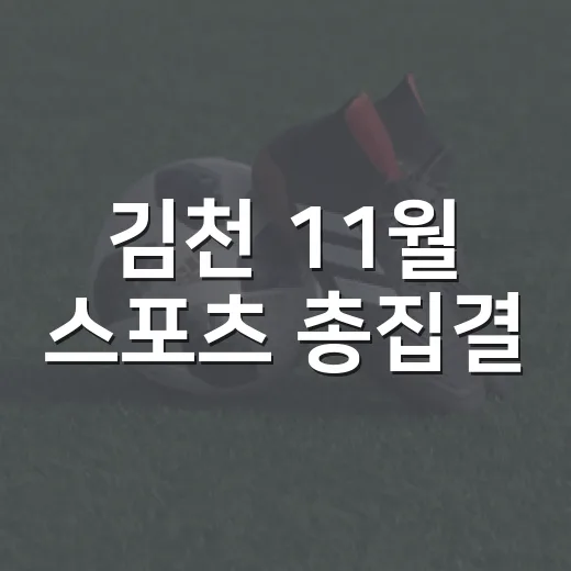 김천 11월 스포츠 총집결