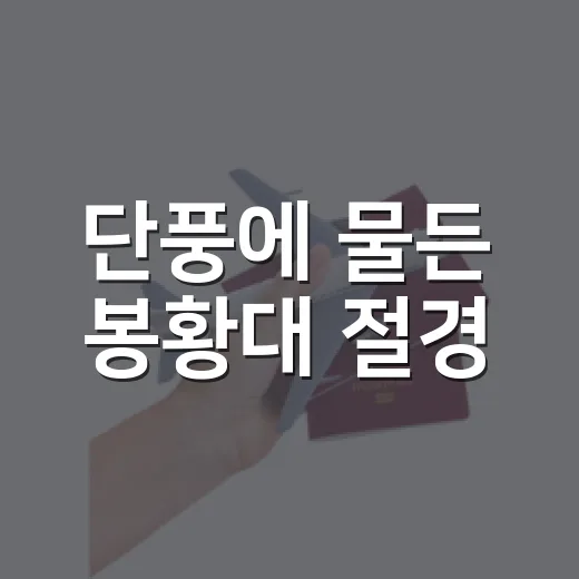 단풍에 물든 봉황대 절경