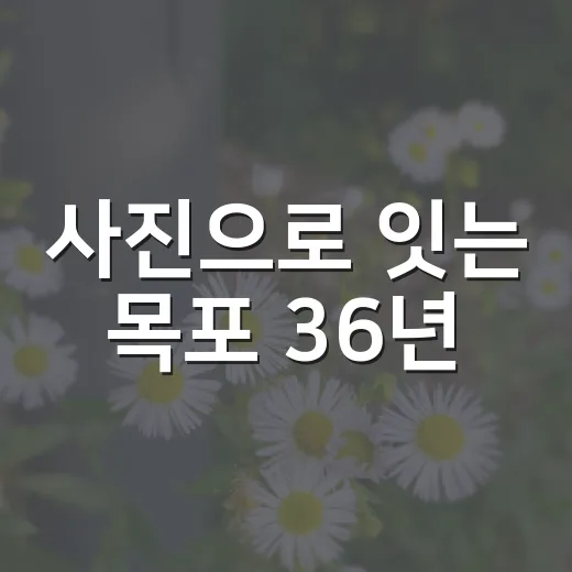사진으로 잇는 목포 36년