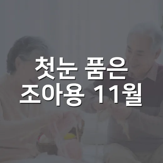 첫눈 품은 조아용 11월
