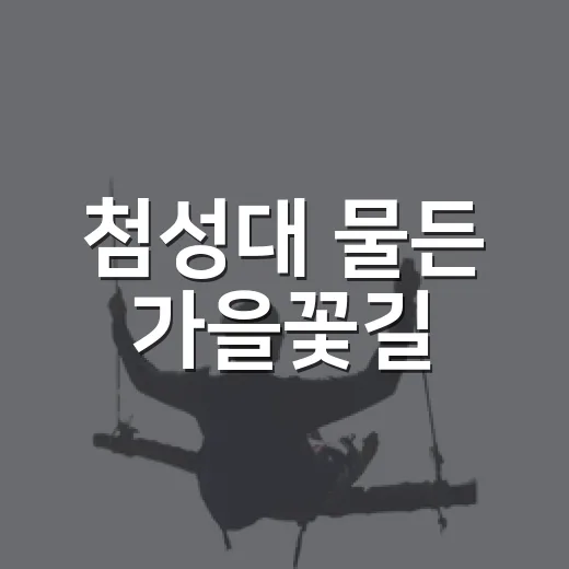 첨성대 물든 가을꽃길