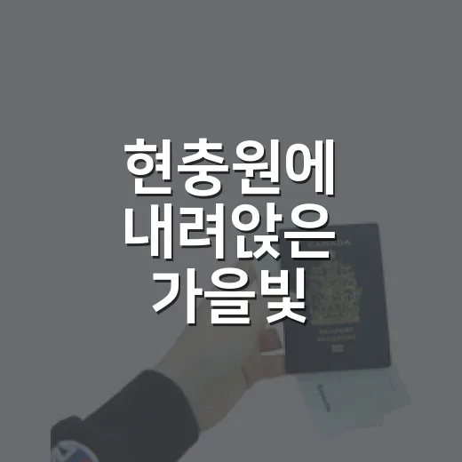 현충원에 내려앉은 가을빛