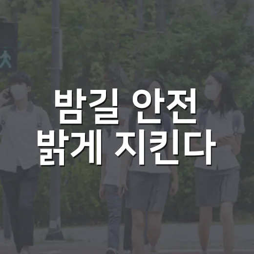 밤길 안전 밝게 지킨다