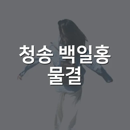 청송 백일홍 물결