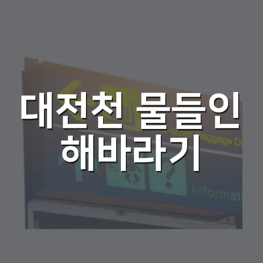대전천 물들인 해바라기