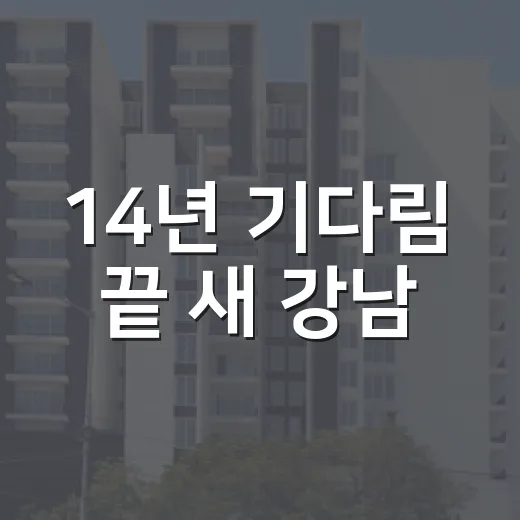 14년 기다림 끝 새 강남