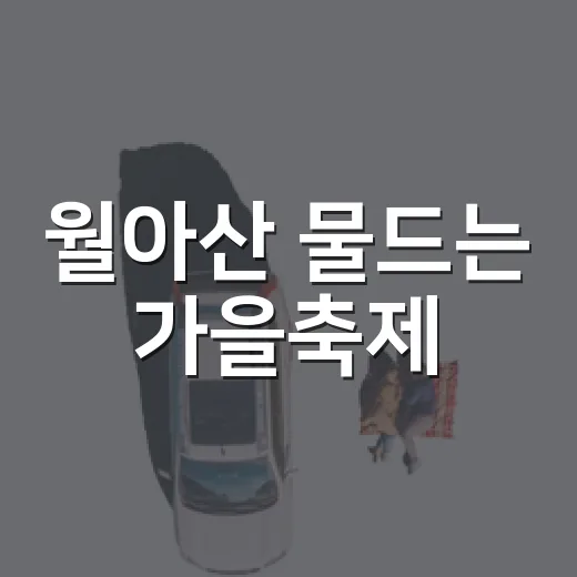 월아산 물드는 가을축제