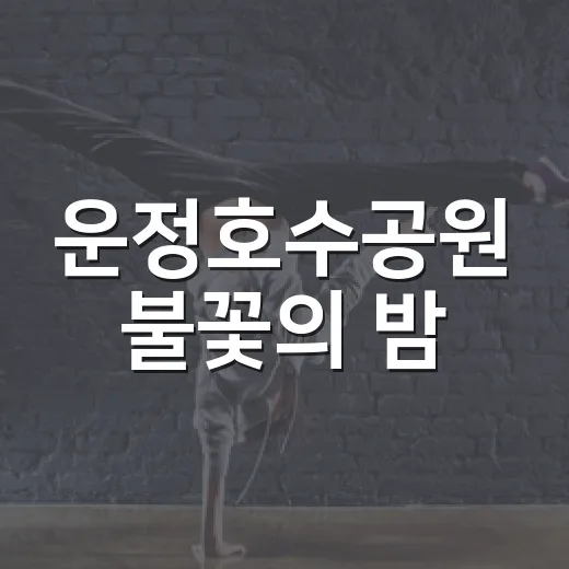 운정호수공원 불꽃의 밤