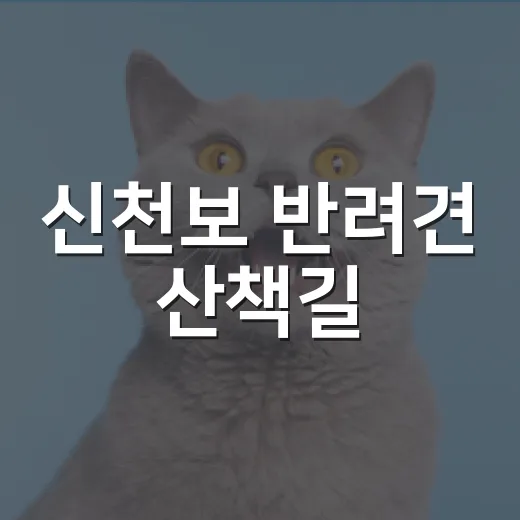 신천보 반려견 산책길