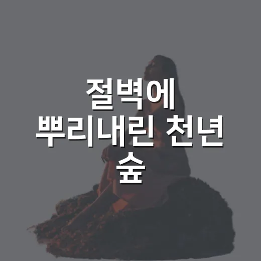 절벽에 뿌리내린 천년 숲