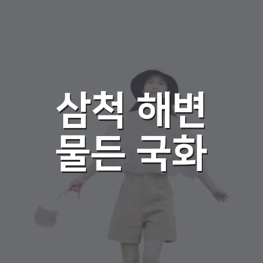 삼척 해변 물든 국화