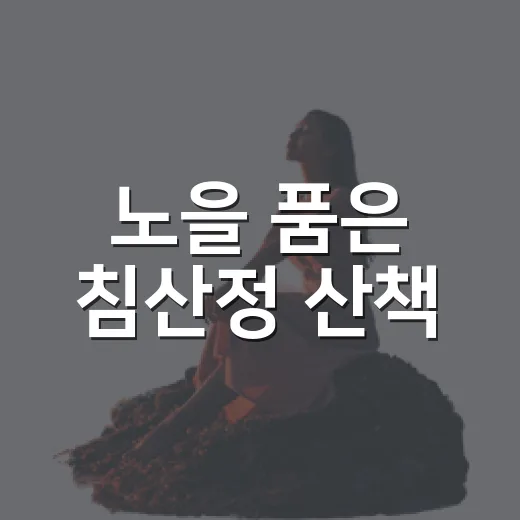 노을 품은 침산정 산책