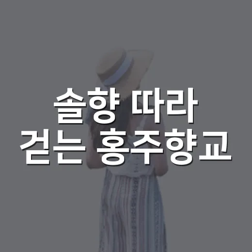 솔향 따라 걷는 홍주향교