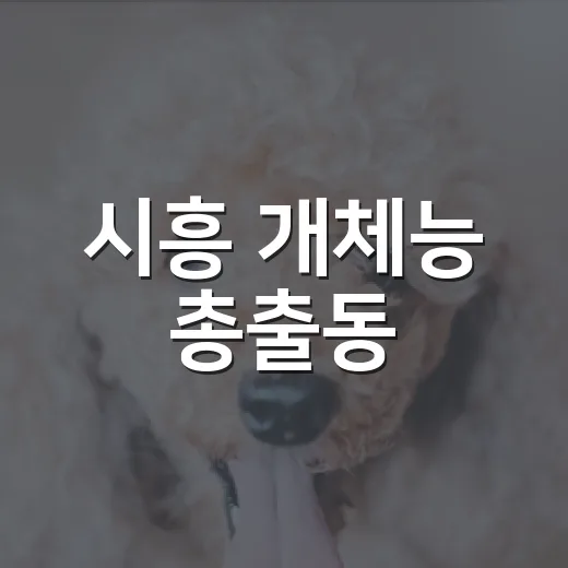 시흥 개체능 총출동